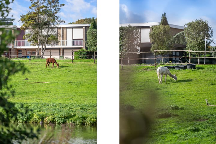 Photo 4 of Mattenbiesstraat 64