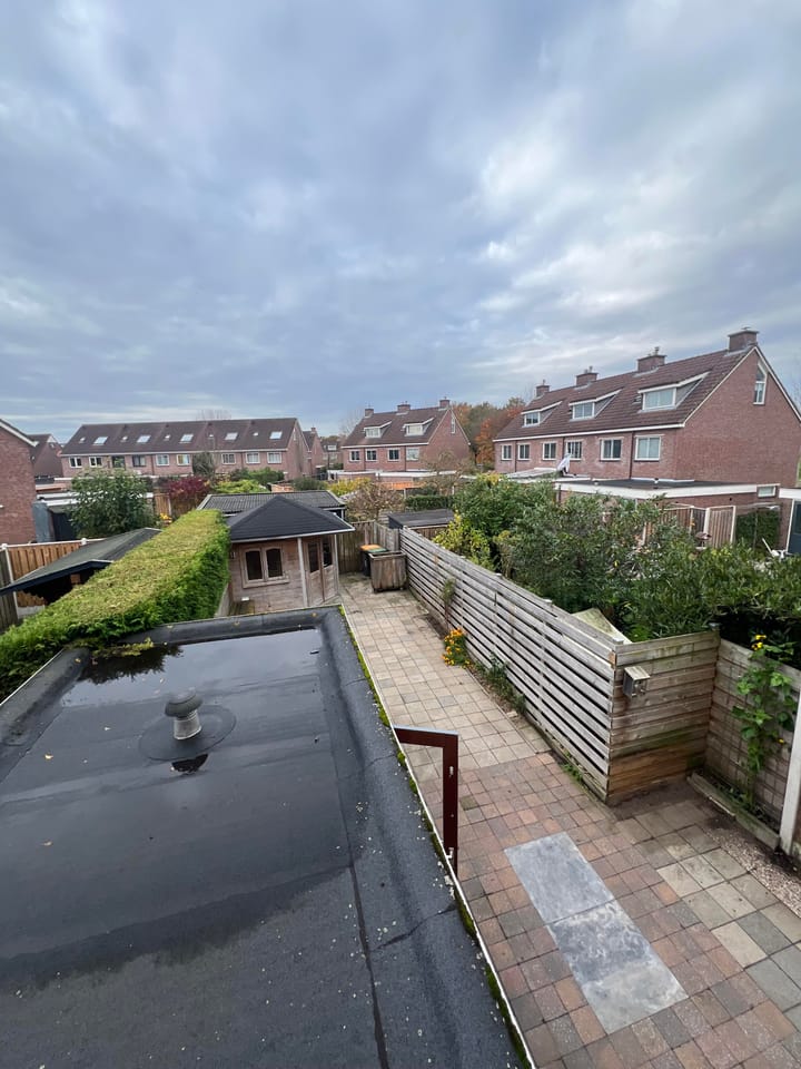 Photo 16 of Pinksterbloem 61