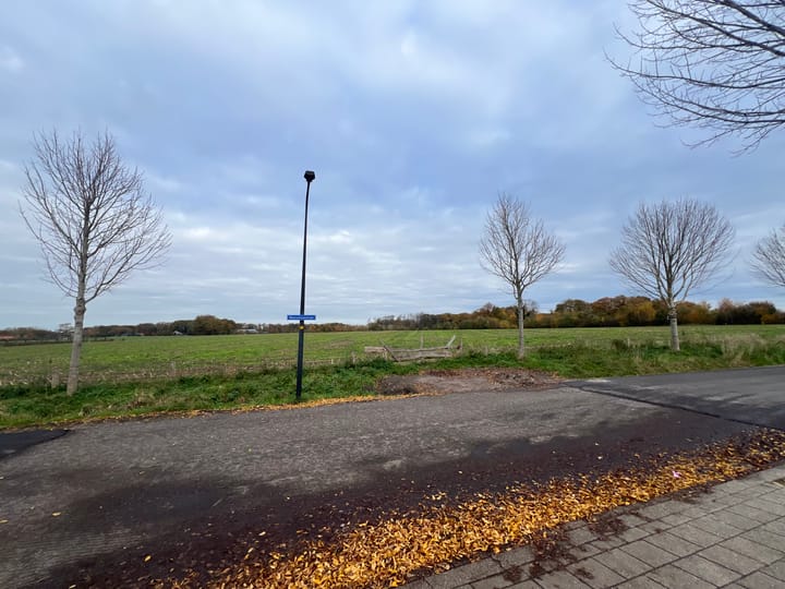 Photo 28 of Pinksterbloem 61