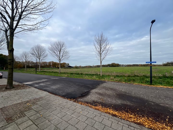 Photo 27 of Pinksterbloem 61