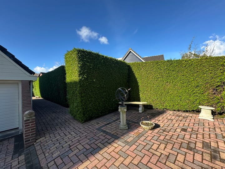 Photo 58 of Zuster Michielsenstraat 1