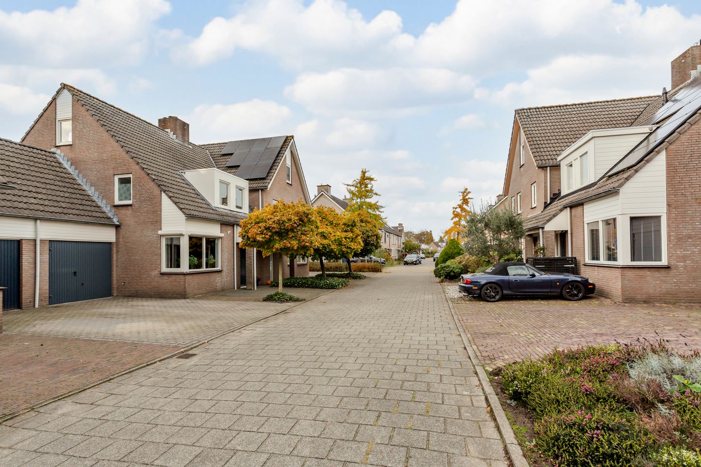 Photo 5 of Hooiland 18