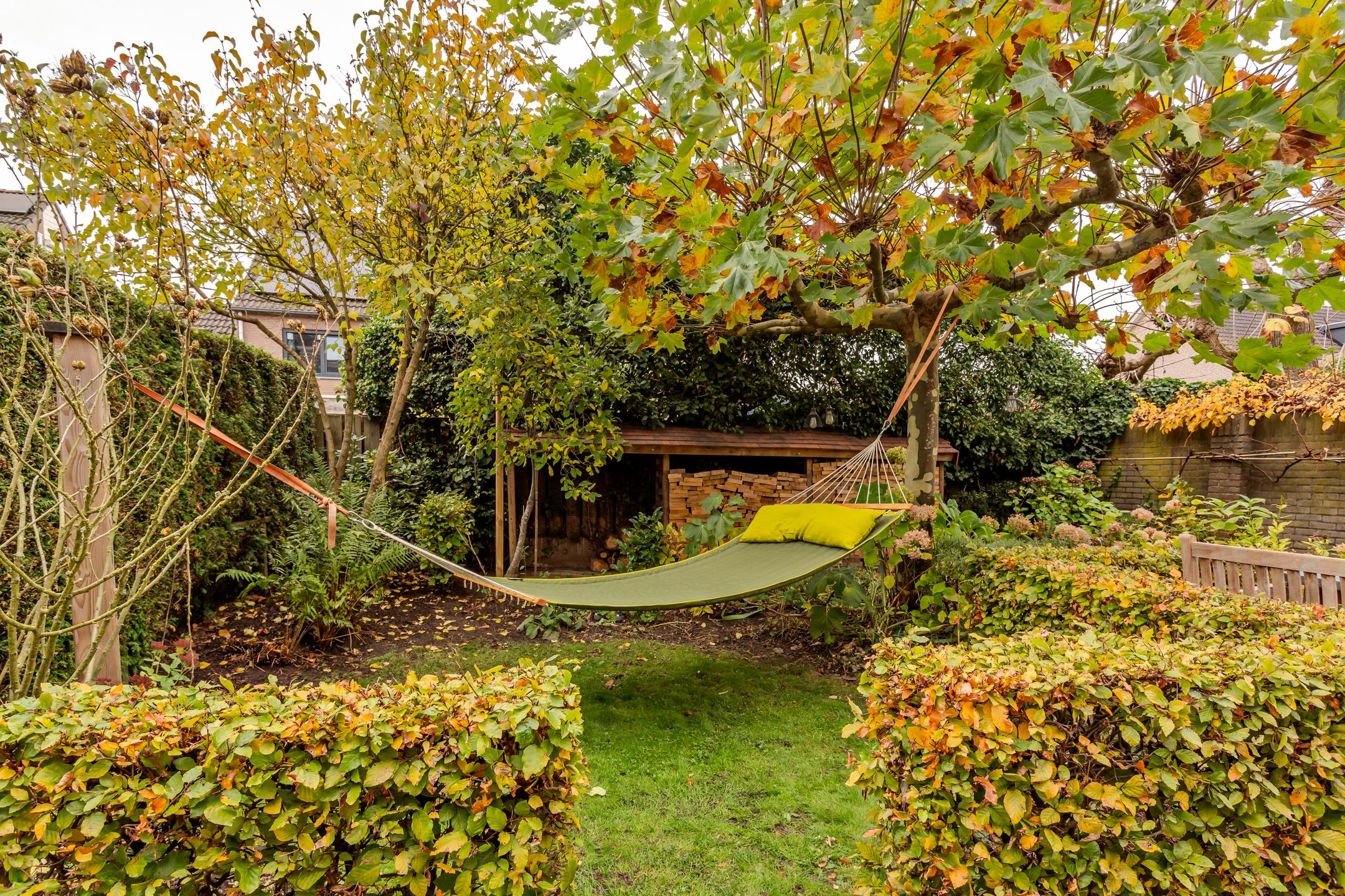 Photo 51 of Hooiland 18