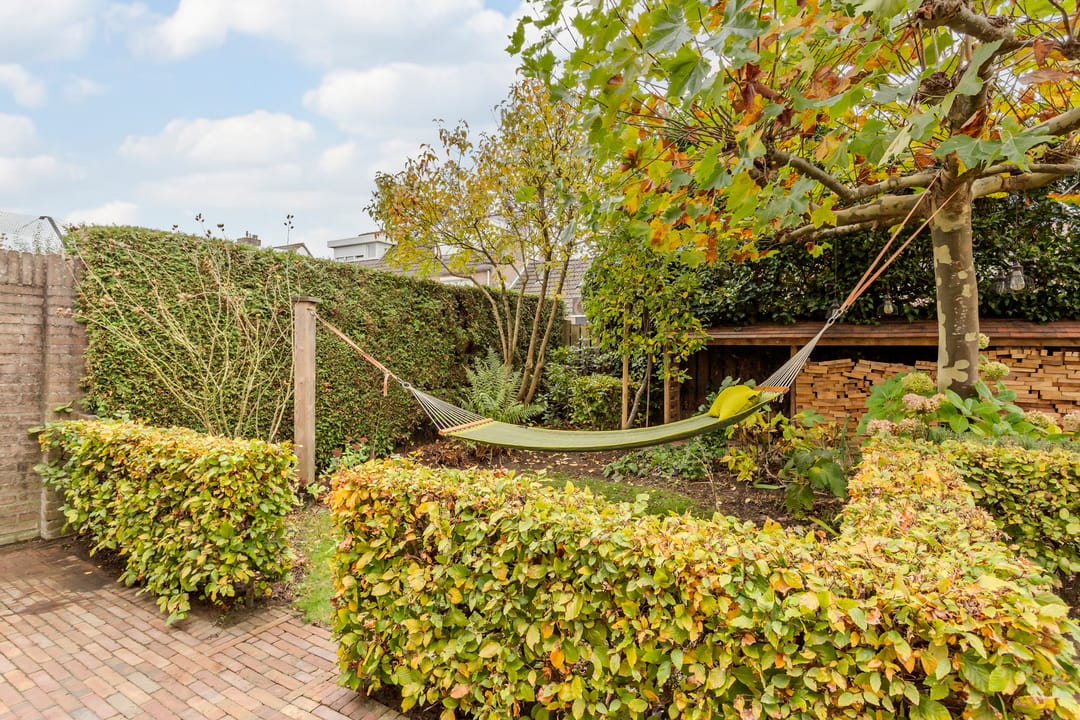 Photo 52 of Hooiland 18