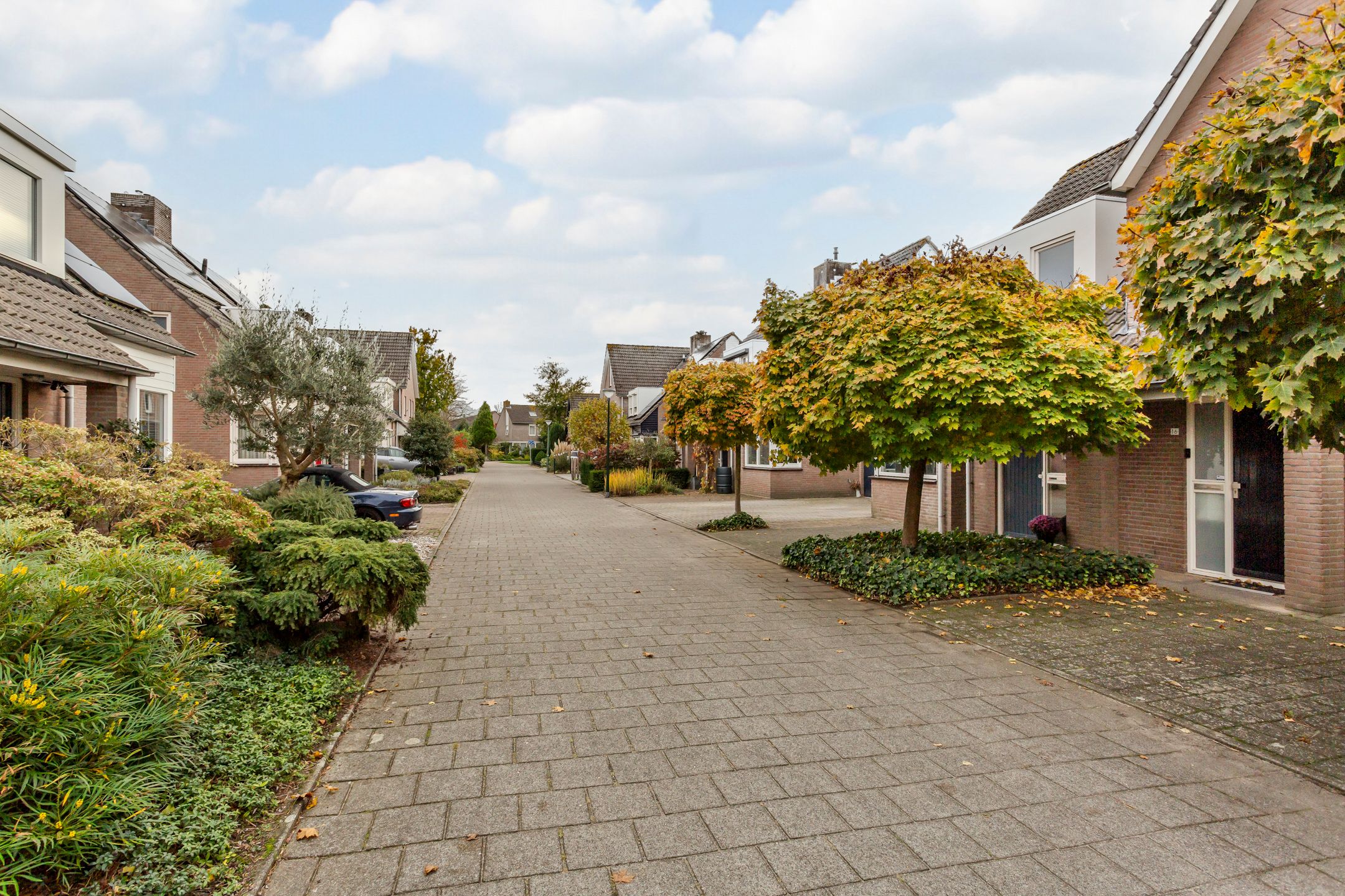 Photo 54 of Hooiland 18