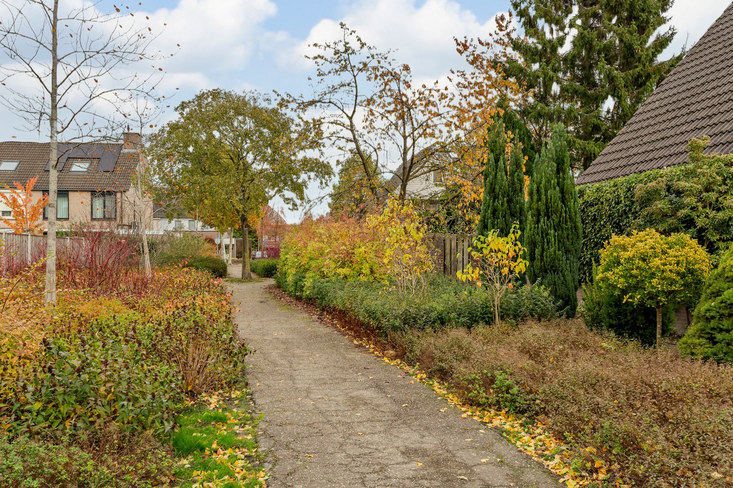 Photo 55 of Hooiland 18