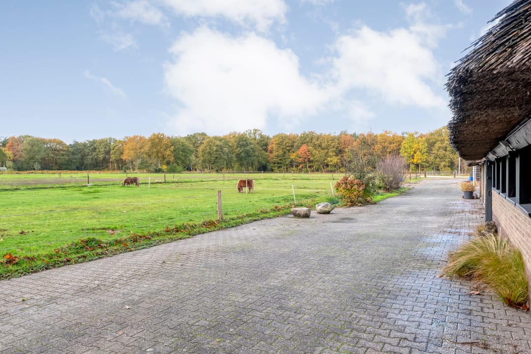 Photo 53 of Vledderweg 24
