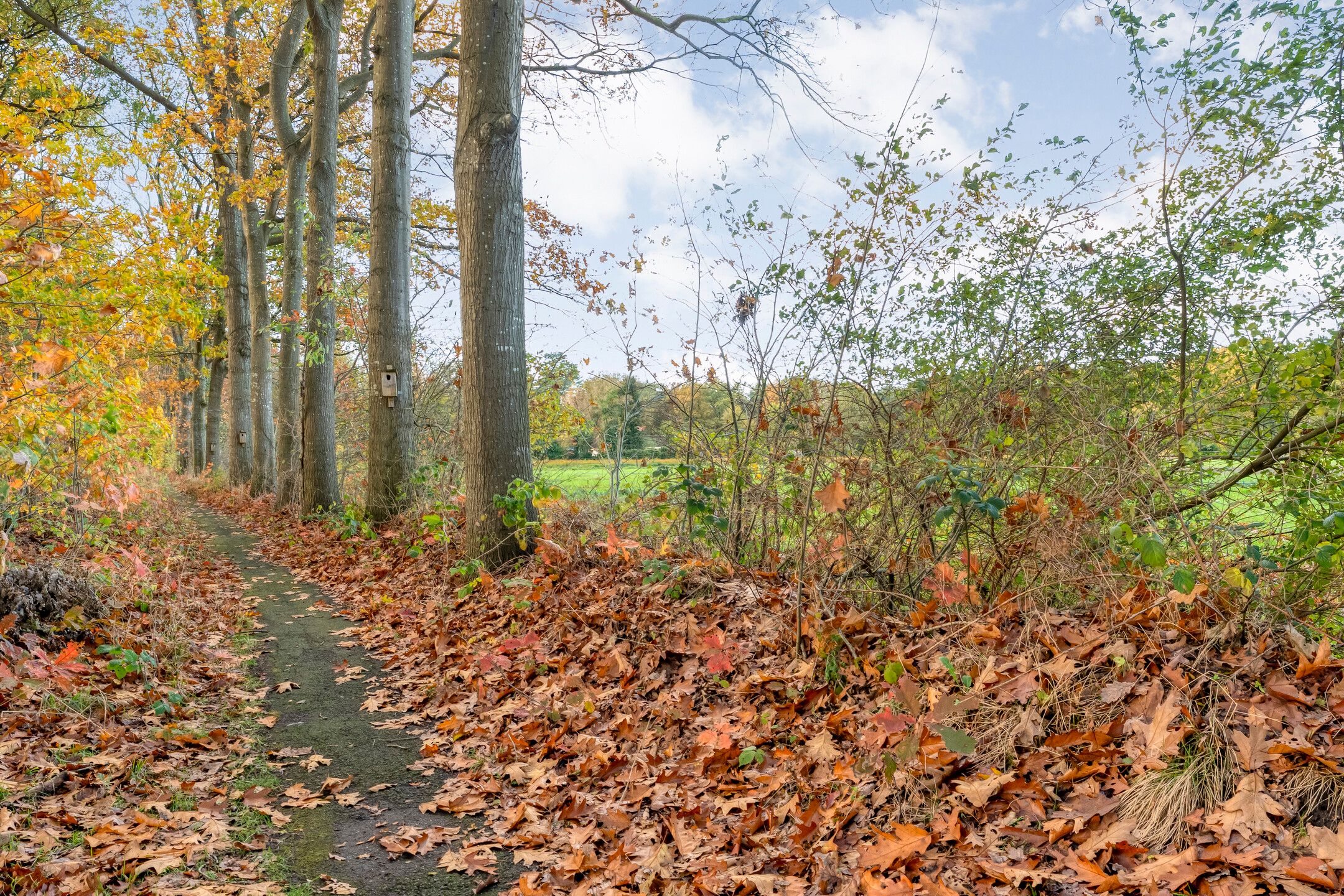 Photo 54 of Vledderweg 24
