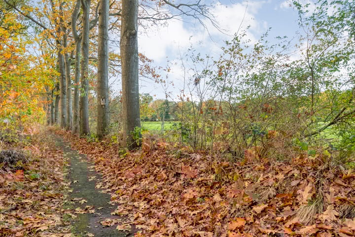 Foto 54 van Vledderweg 24