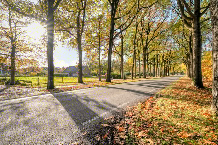 Foto 56 van Vledderweg 24