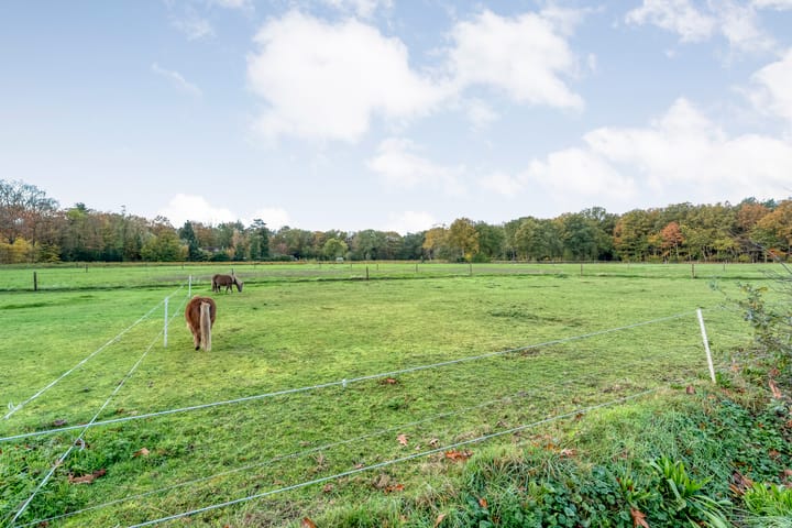 Foto 75 van Vledderweg 24