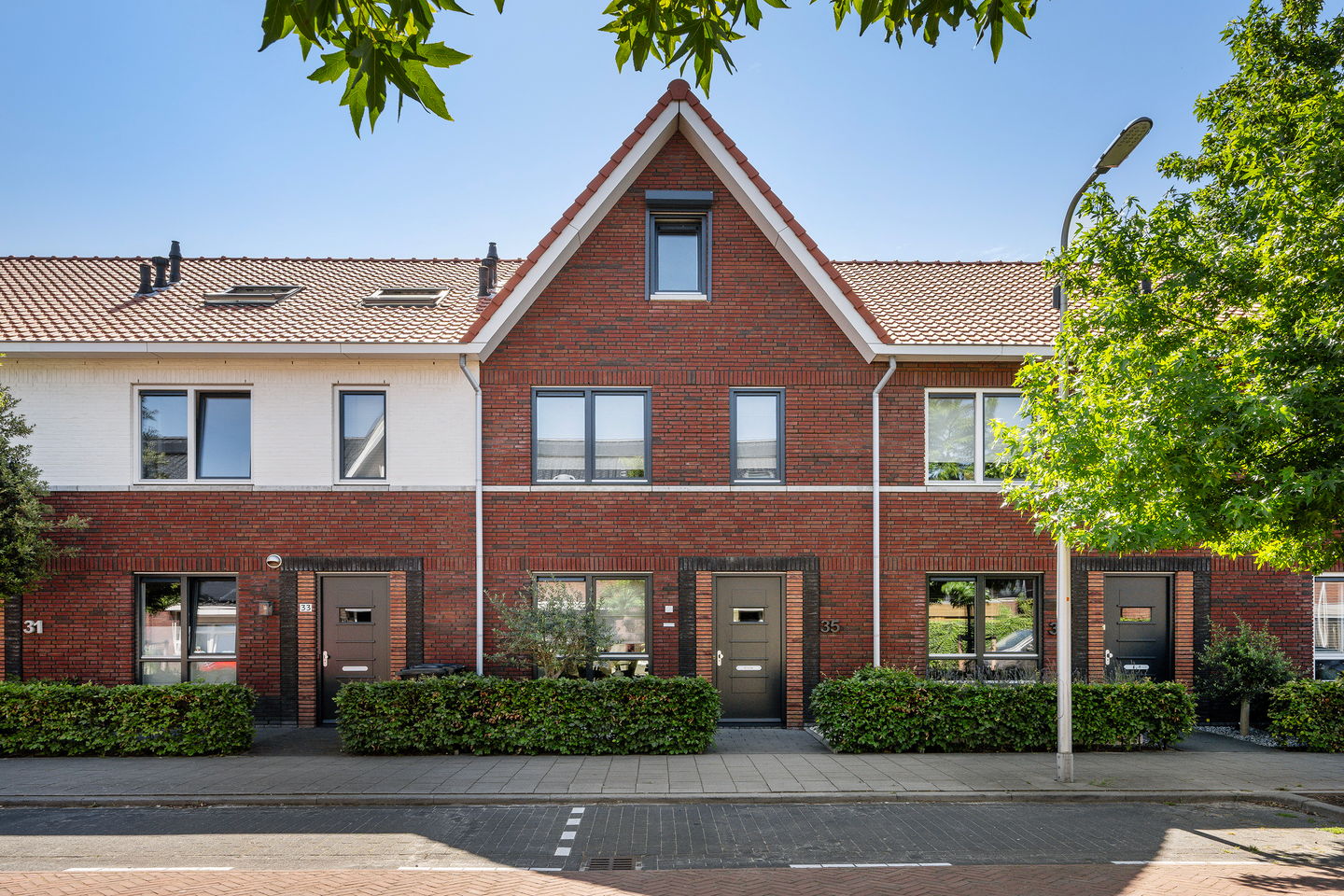 Photo 1 of Citroenvlinder 35