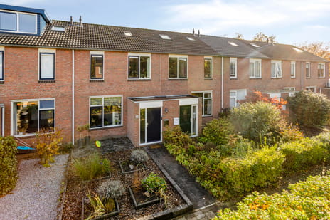 undefined main image