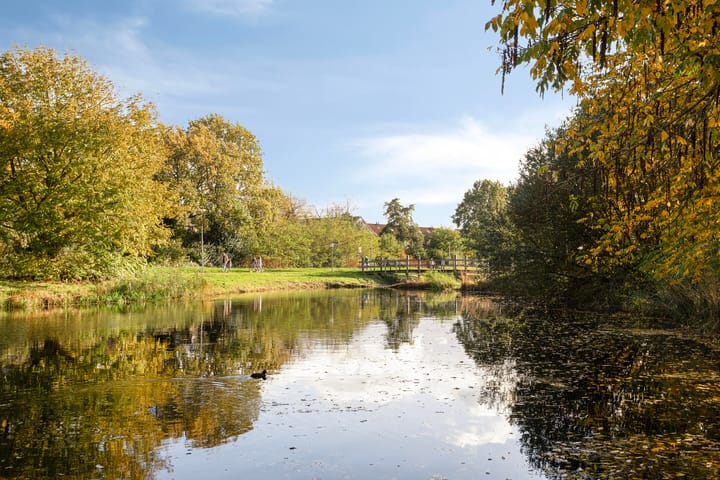 Foto 43 van Iemstukken 22