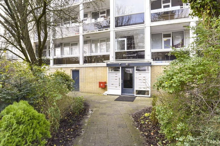 Foto 3 van Rozenoord 117