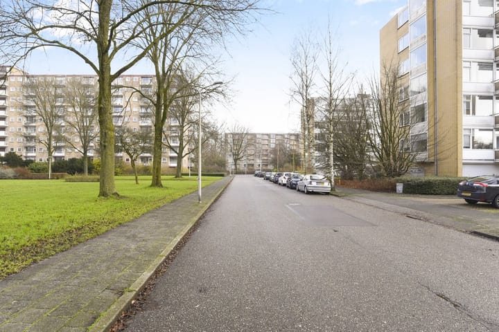 Foto 19 van Rozenoord 117