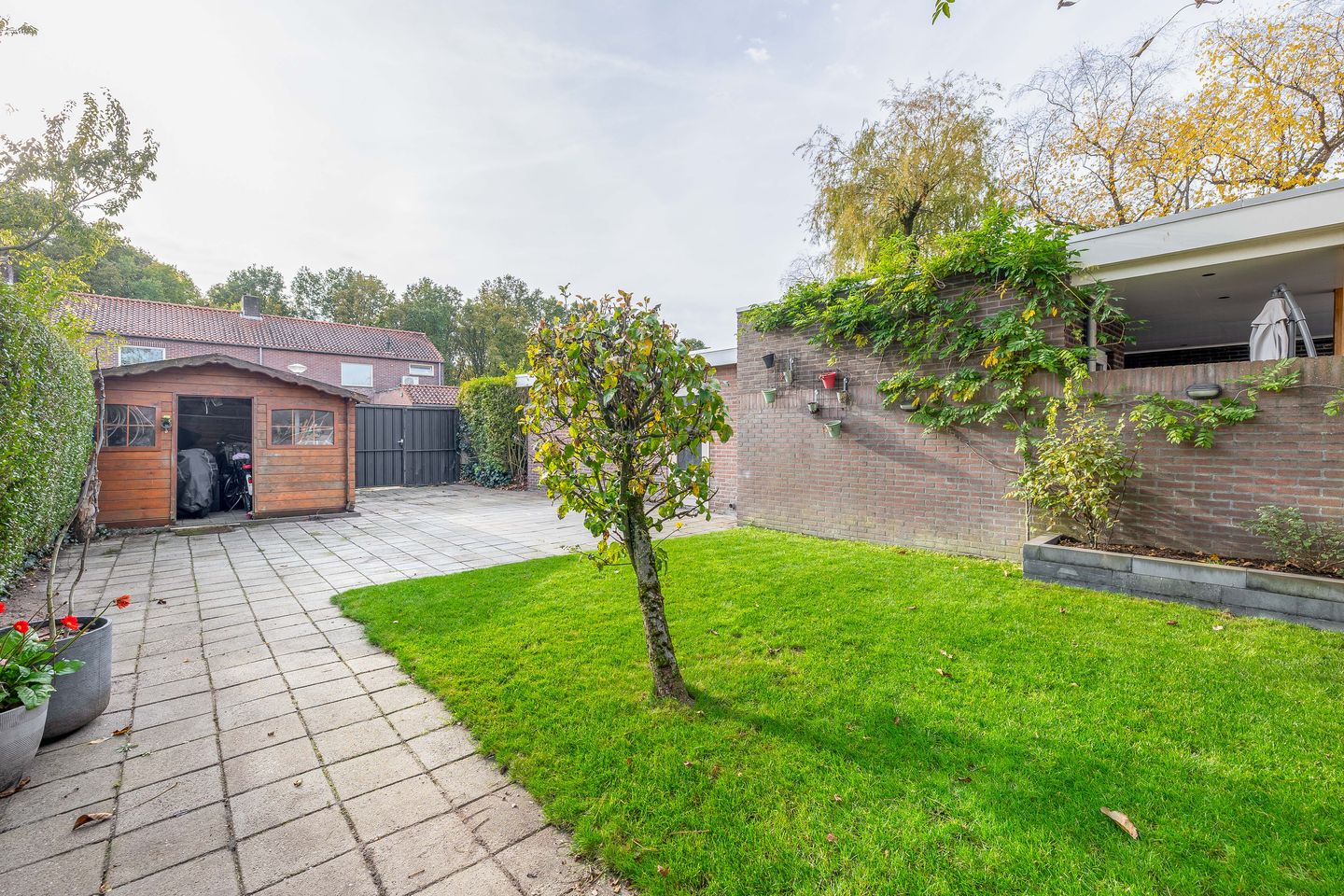 Foto 44 van Jacoba Pulskensstraat 9