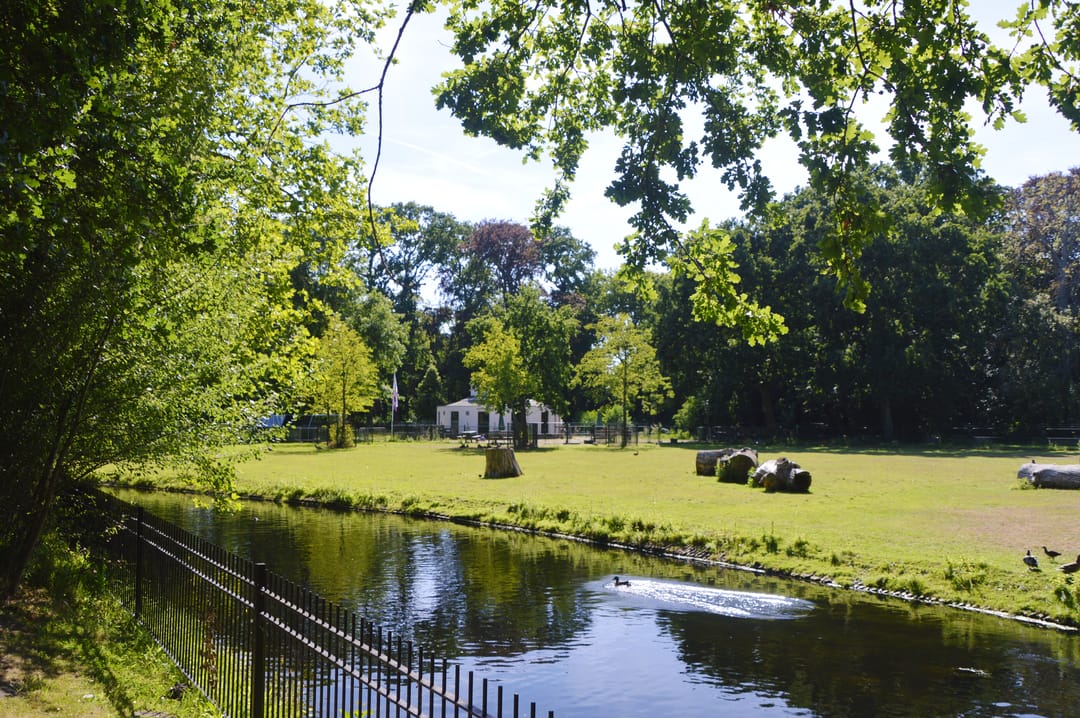 Foto 7 van 2-kamerappartement (Bouwnr. 39)