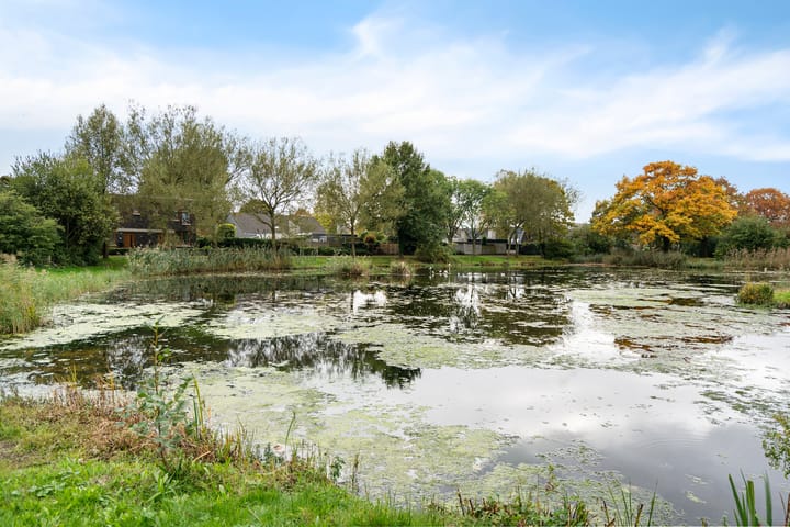 Photo 25 of De Kroon 50