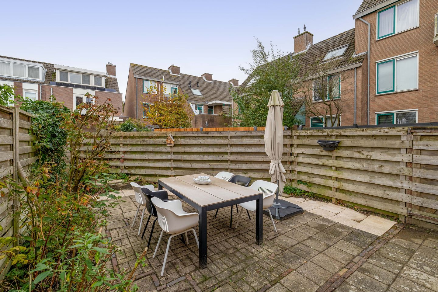 Photo 14 of Kleine Beer 10