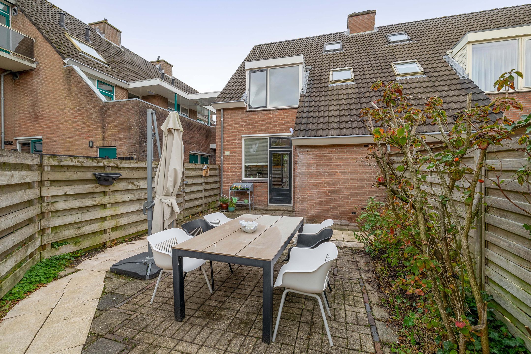 Photo 15 of Kleine Beer 10