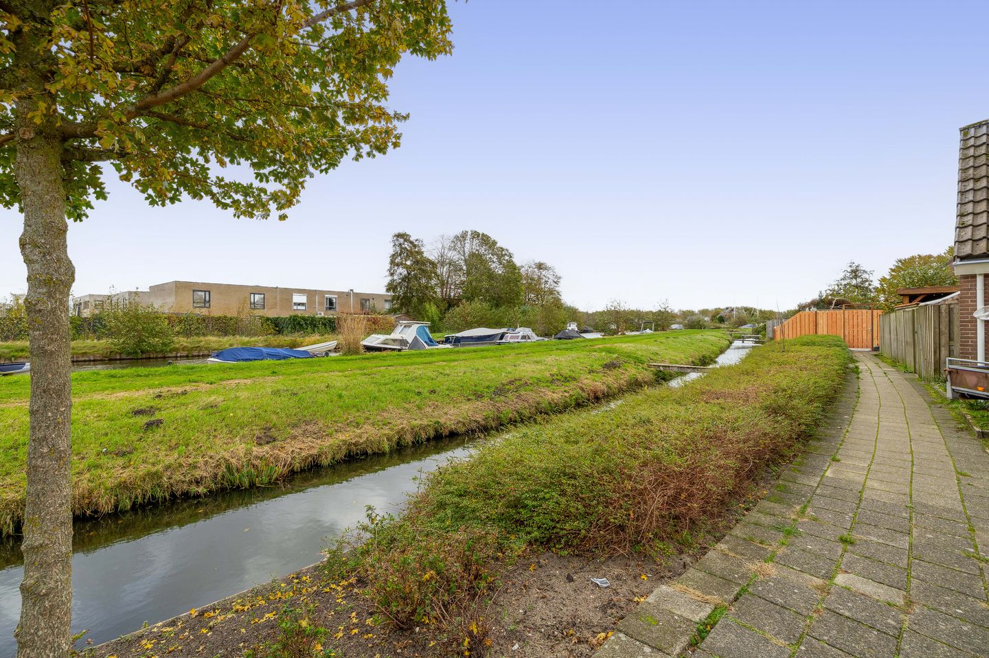 Photo 29 of Kleine Beer 10