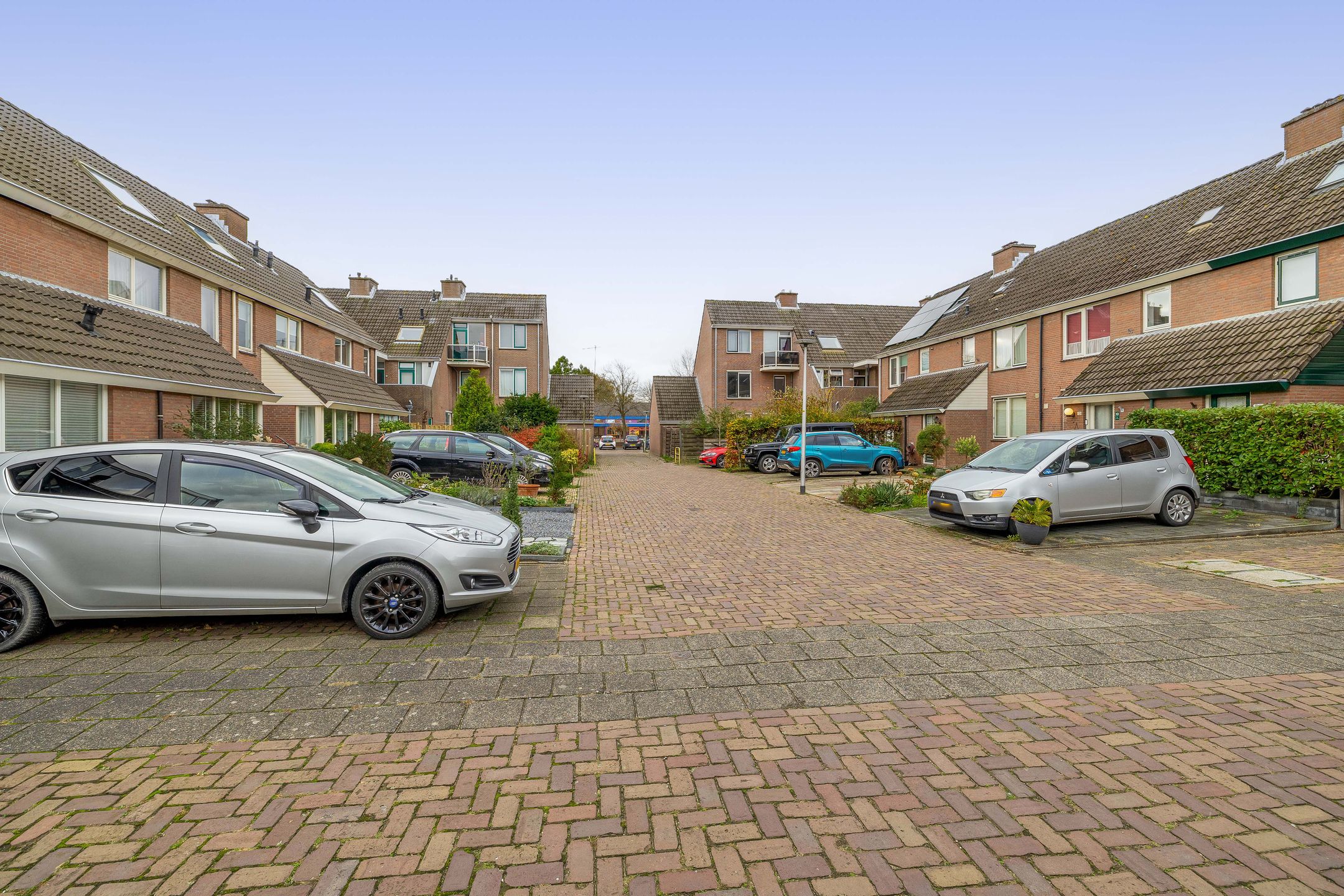 Photo 30 of Kleine Beer 10