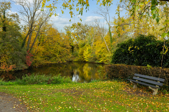 Foto 45 van Kievitstraat 14