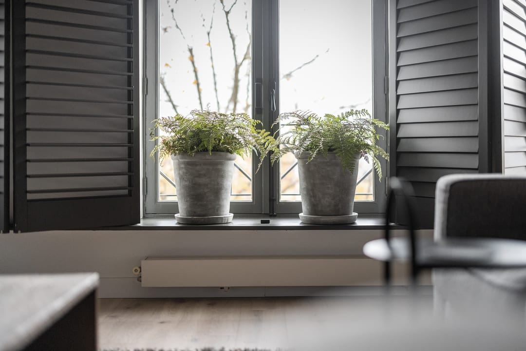 Foto 7 van Nieuwe Haven 31-D