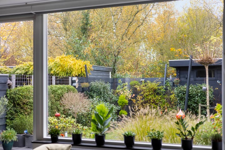 Foto 11 van Schweitzerstraat 50