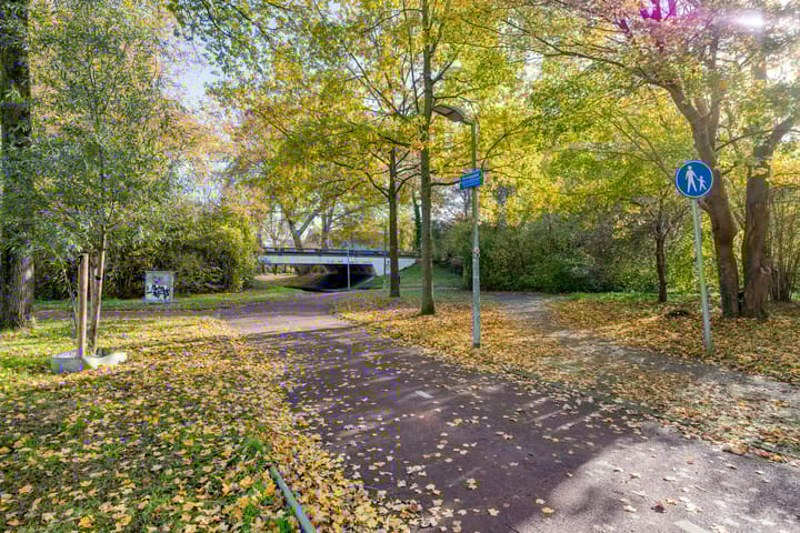 Foto 28 van Schweitzerstraat 50