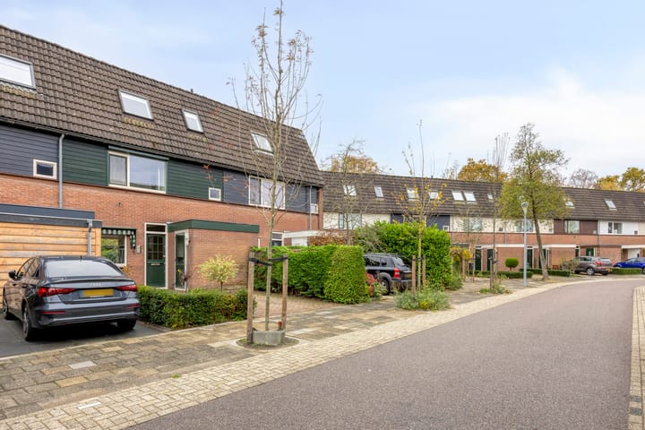 Foto 30 van Schweitzerstraat 50