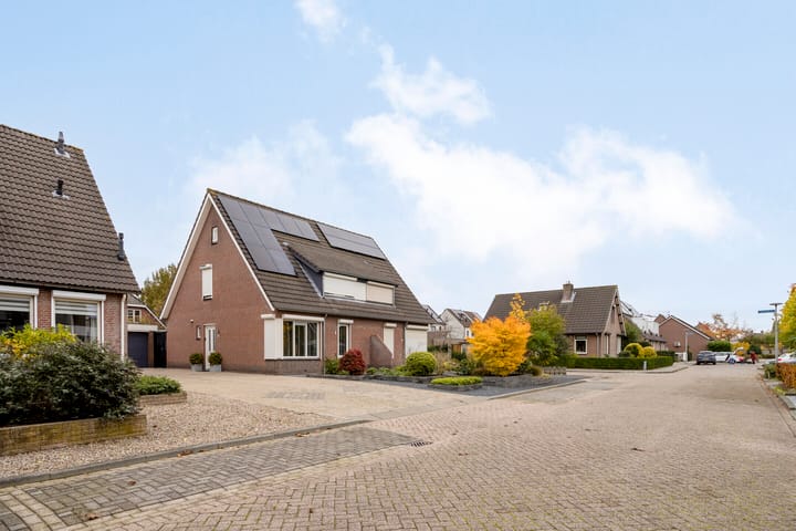 Foto 5 van de Bogerd 3