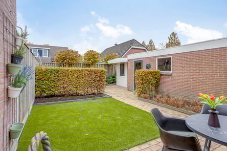 de Bogerd 3 tertiary image