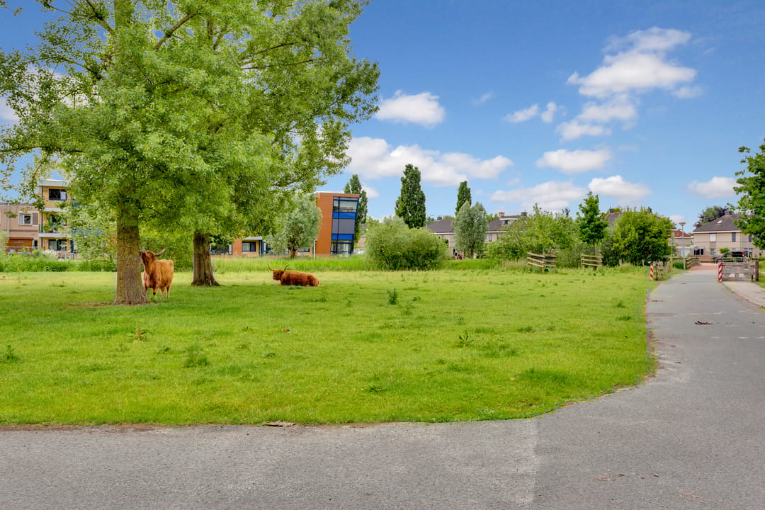 Foto 58 van Hoekwant 26