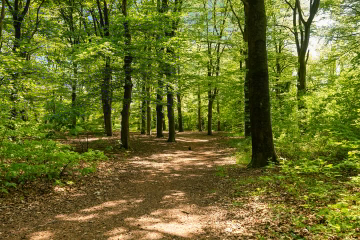 Foto 41 van Oude Postweg 168