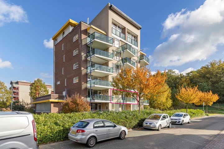 Photo 2 of Veldzuring 103