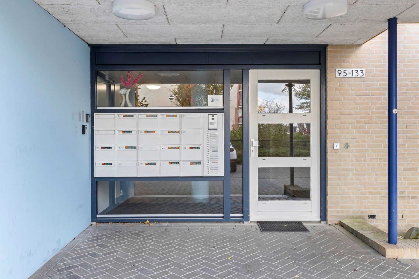 Foto 4 van Veldzuring 103