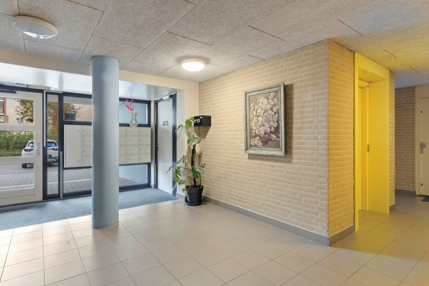 Foto 5 van Veldzuring 103