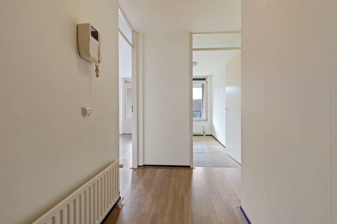 Foto 8 van Veldzuring 103