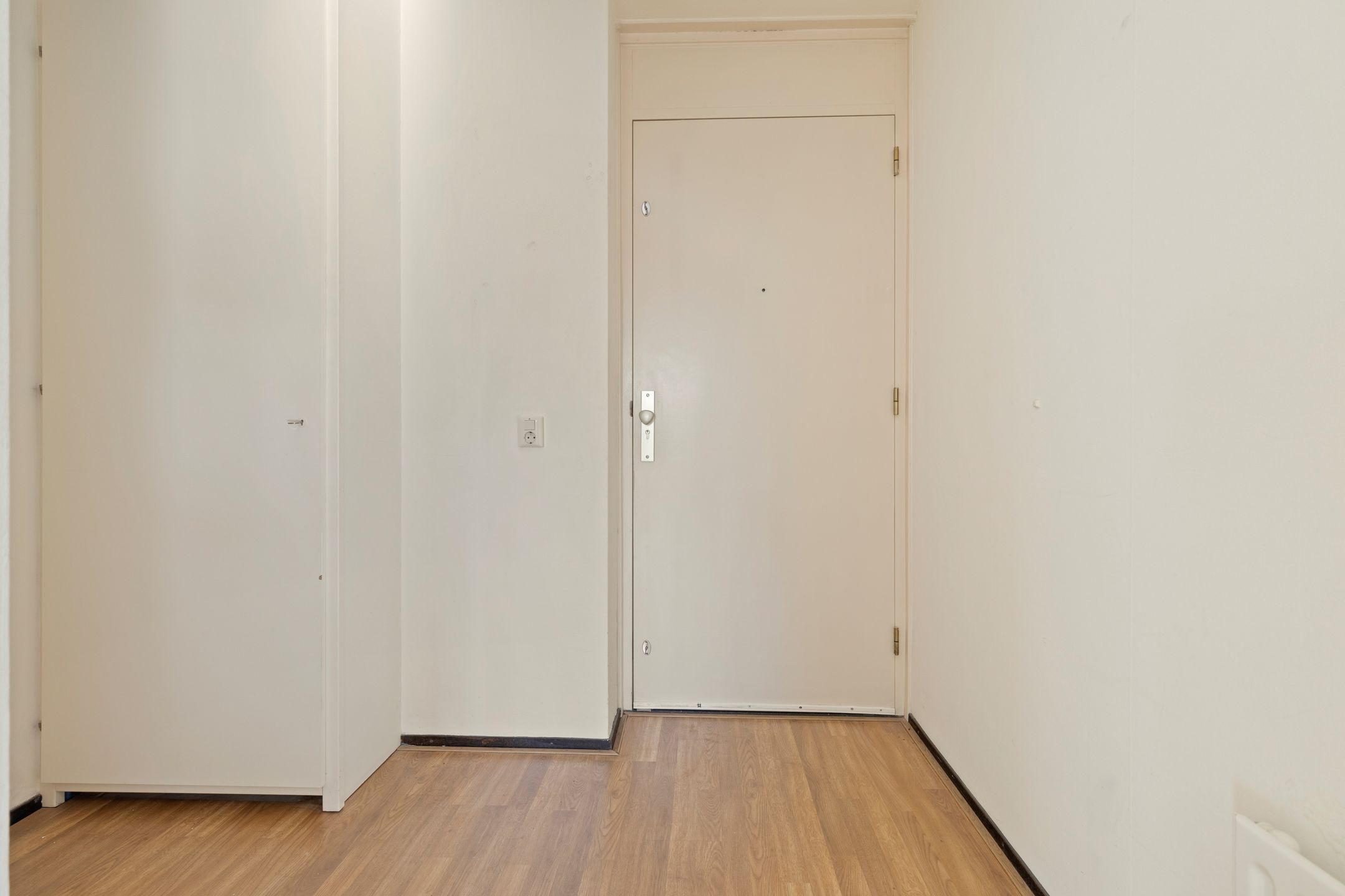 Foto 9 van Veldzuring 103