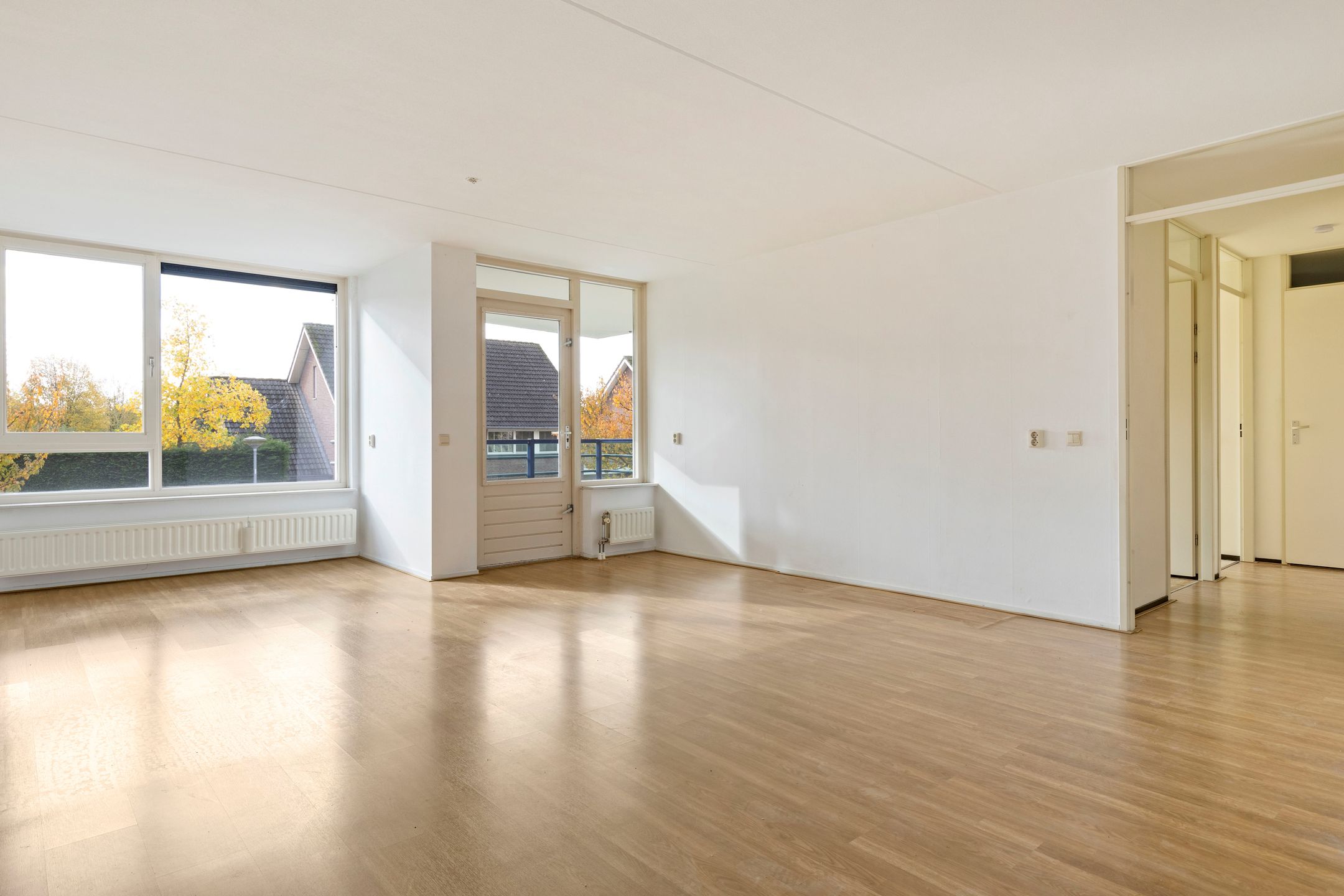 Foto 12 van Veldzuring 103