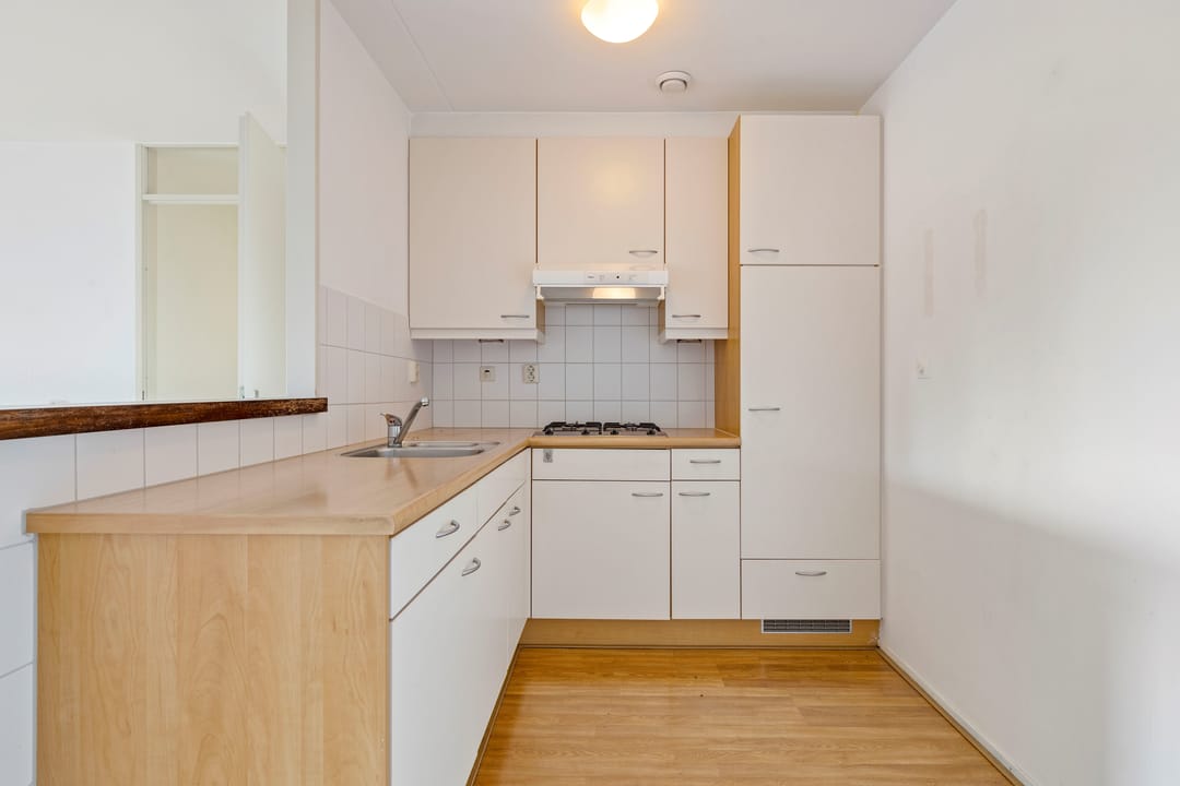 Foto 17 van Veldzuring 103