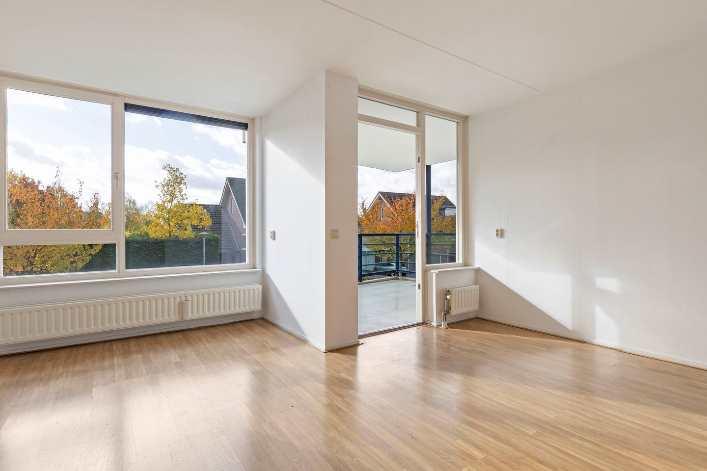 Foto 20 van Veldzuring 103