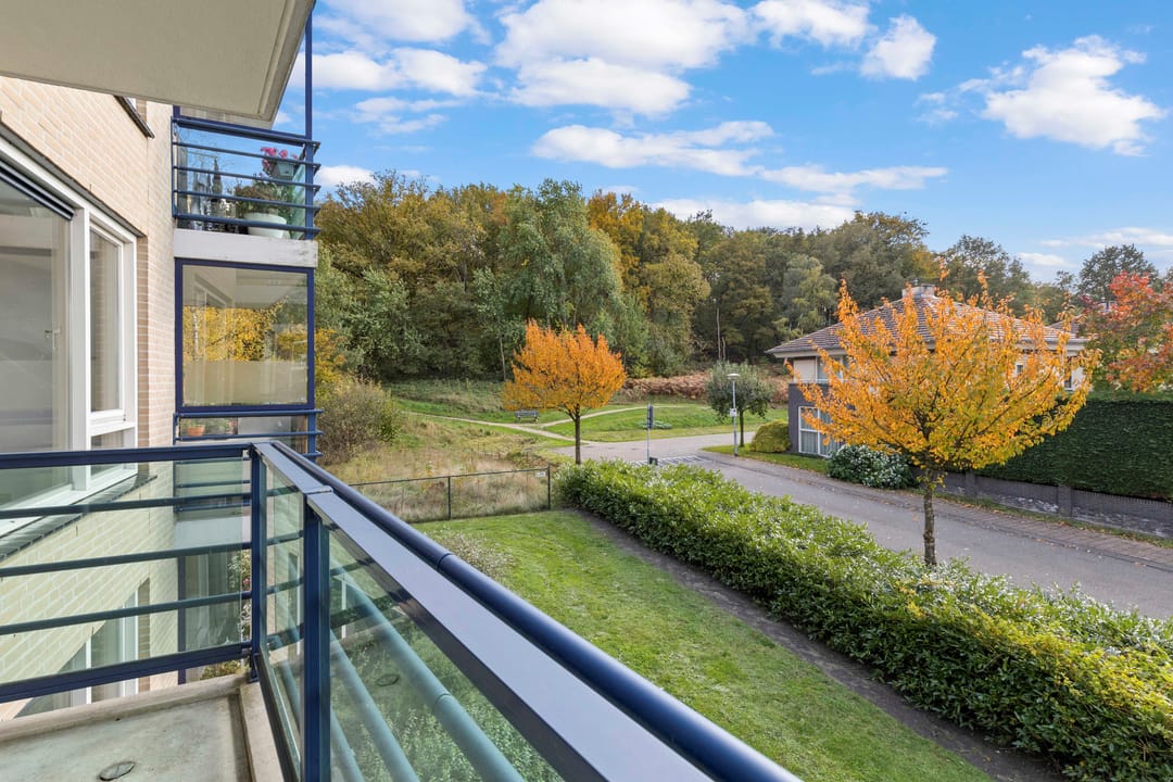 Foto 23 van Veldzuring 103