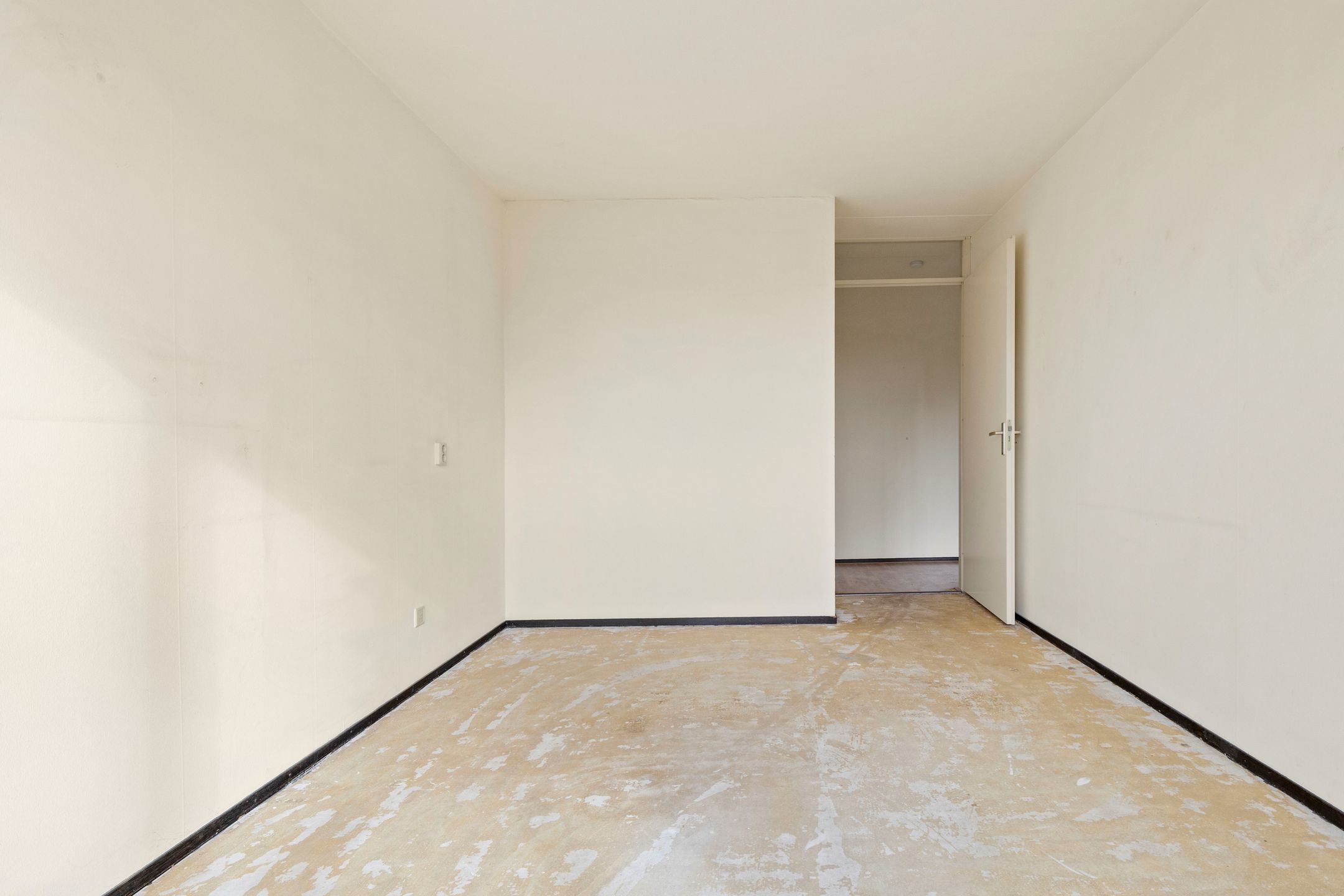 Foto 30 van Veldzuring 103