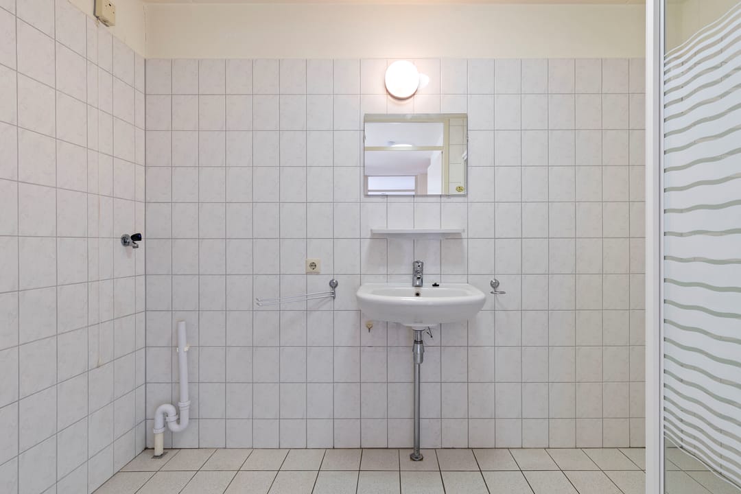 Foto 31 van Veldzuring 103