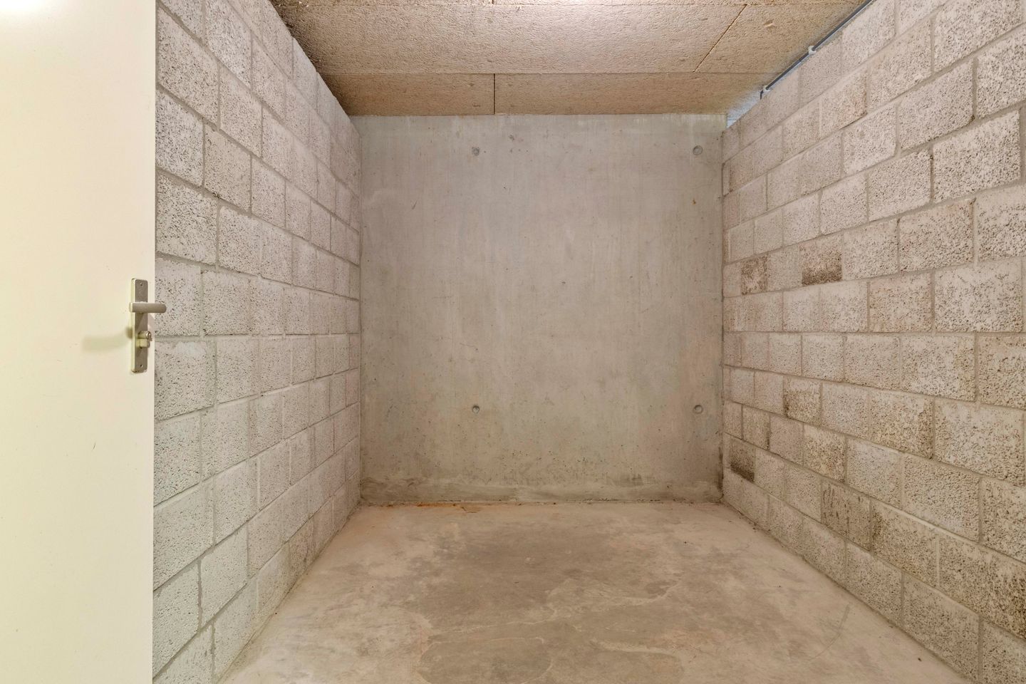 Foto 35 van Veldzuring 103