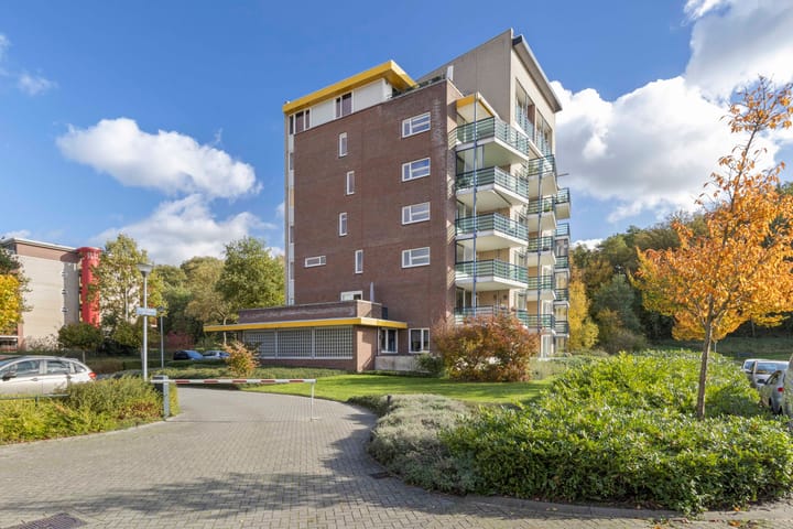 Photo 37 of Veldzuring 103