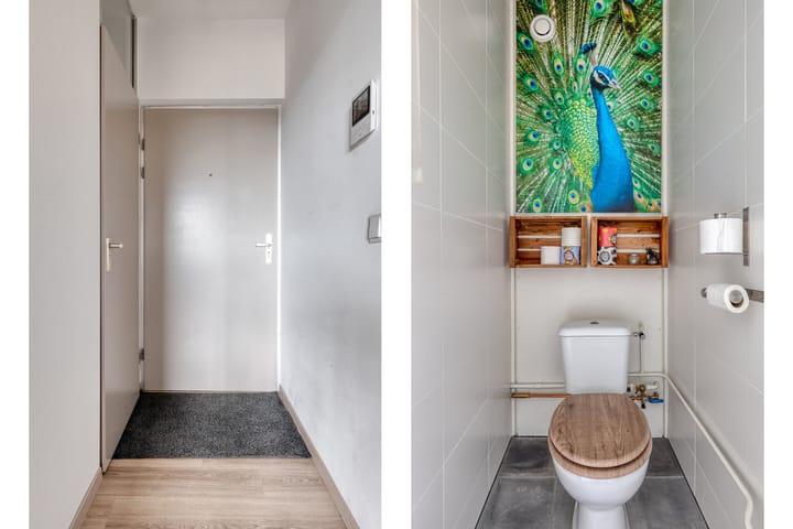 Photo 3 of Boterbloem 53